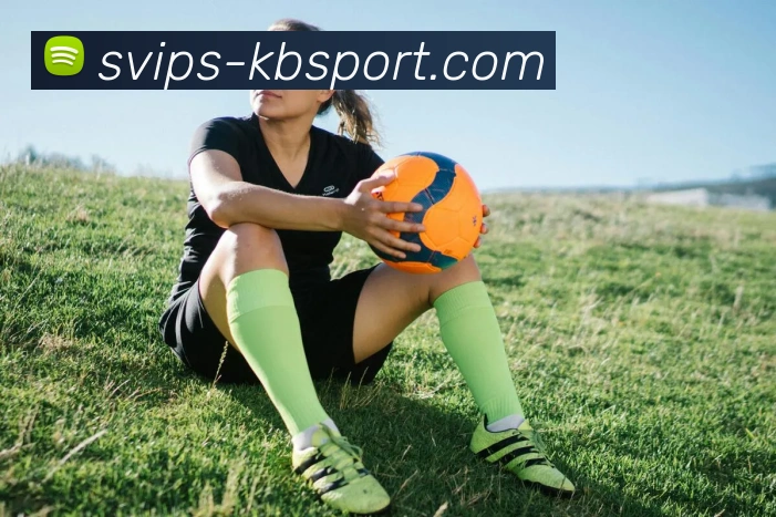 KB体育官网APP 封面图